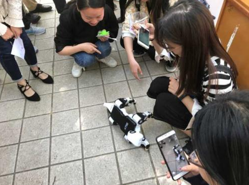能跑能跳能聊天 “全能宠物”萌呆山大学生